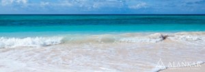 砂浜 海