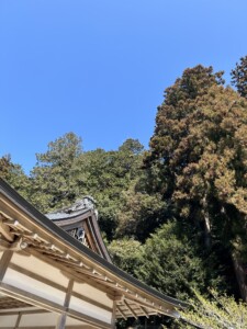 八咫烏神社
