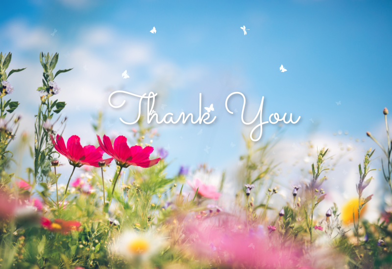 thank you